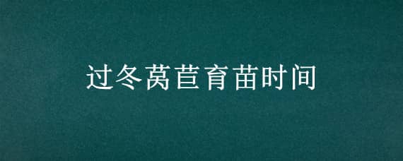 过冬莴苣育苗时间（过冬莴苣的种植时间和方法）