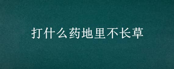 打什么药地里不长草 地里有草打什么药好