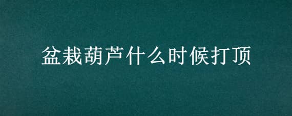 盆栽葫芦什么时候打顶