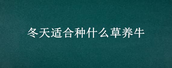 冬天适合种什么草养牛 冬季种什么草养牛最好