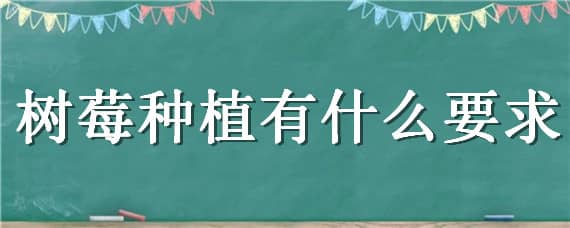 树莓种植有什么要求 树莓适合在什么地方种植