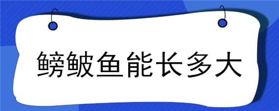 鳑鲏鱼能长多大 七彩鳑鲏鱼能长多大