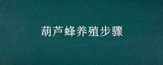 葫芦蜂养殖步骤 葫芦蜂养殖步骤图解