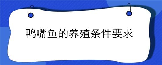 鸭嘴鱼的养殖条件要求（鸭嘴鱼的养殖条件要求温度）