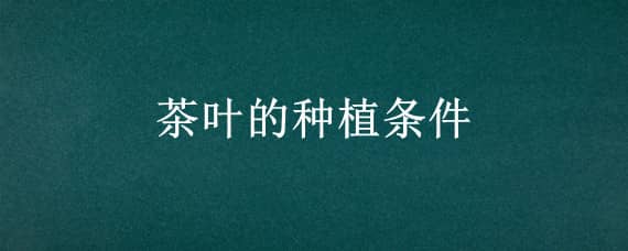 茶叶的种植条件 茶叶的种植条件有哪些