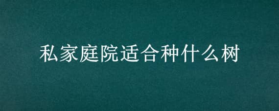 私家庭院适合种什么树（私家庭院种什么树最好）