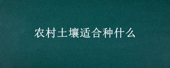 农村土壤适合种什么（适合种地的土壤）