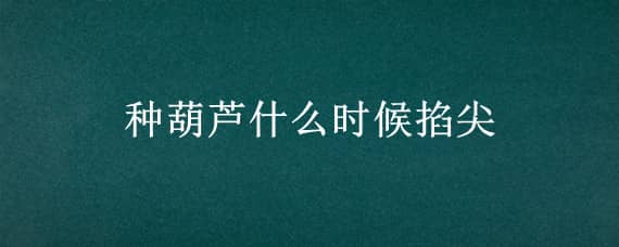 种葫芦什么时候掐尖（种植大葫芦掐尖吗）