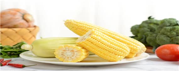 强硕88玉米品种介绍 强硕88玉米品种介绍视频
