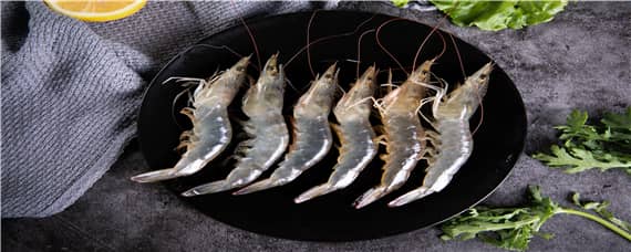 黑虎虾养殖技术 黑虎虾养殖技术视频教程