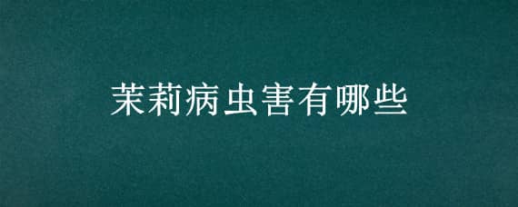 茉莉病虫害有哪些（茉莉病虫害怎么防治）