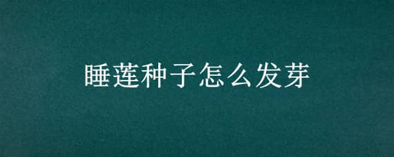 睡莲种子怎么发芽 怎样让睡莲种子发芽