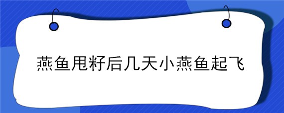 燕鱼甩籽后几天小燕鱼起飞（燕鱼甩籽几天和大鱼分开）