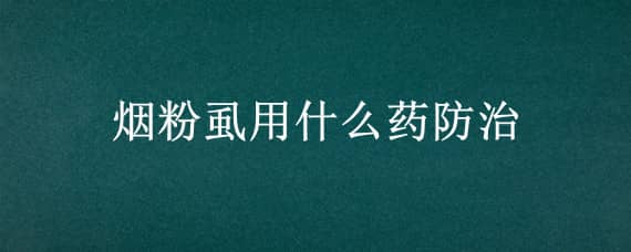 烟粉虱用什么药防治（防治烟粉虱有什么绝效农药吗?）