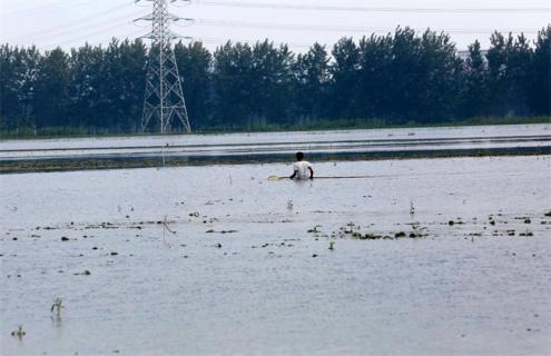 台风天气 水产养殖 应对措施