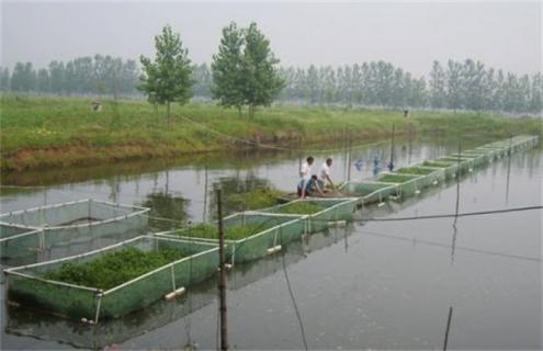 水产养殖行业常见风险（水产行业风险）