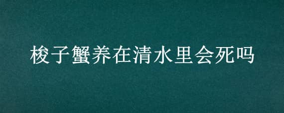 梭子蟹养在清水里会死吗（梭子蟹养在清水里会死吗视频）