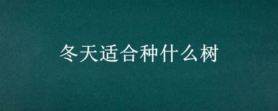 冬天适合种什么树 冬天适合种什么树?