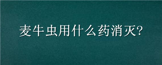 麦牛虫用什么药消灭 麦牛虫有什么办法可以解决