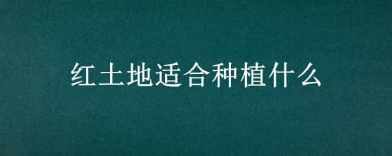 红土地适合种植什么 红土地适合种植什么蔬菜