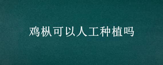 鸡枞可以人工种植吗 鸡枞可以人工种植吗视频