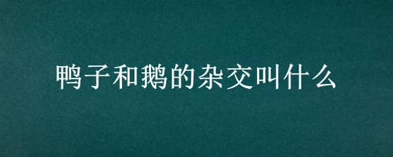 鸭子和鹅的杂交叫什么 鸭子和鹅的杂交叫什么名