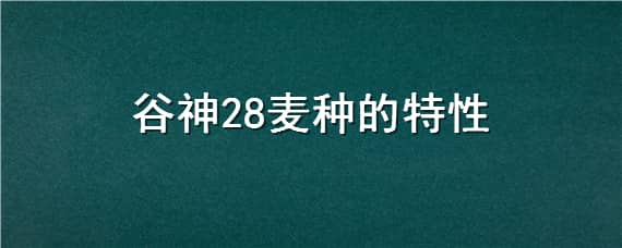 谷神28麦种的特性