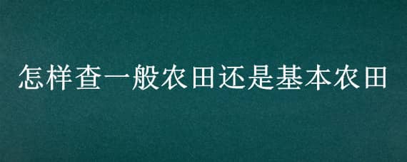 怎样查一般农田还是基本农田 怎样查是不是基本农田