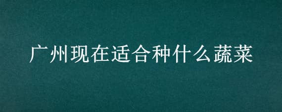 广州现在适合种什么蔬菜 广州现在适合种什么蔬菜和水果