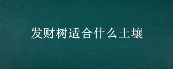 发财树适合什么土壤 发财树种在什么土壤适合