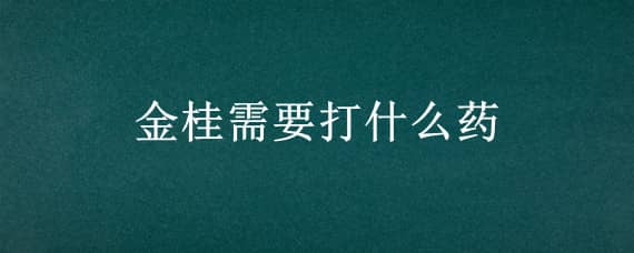 金桂需要打什么药 金桂是什么药