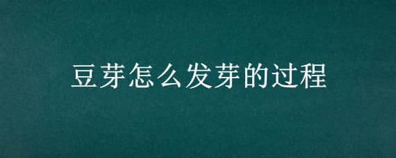 豆芽怎么发芽的过程