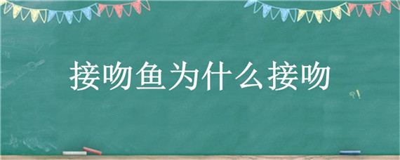 接吻鱼为什么接吻 有接吻鱼吗