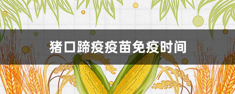 猪口蹄疫疫苗免疫时间