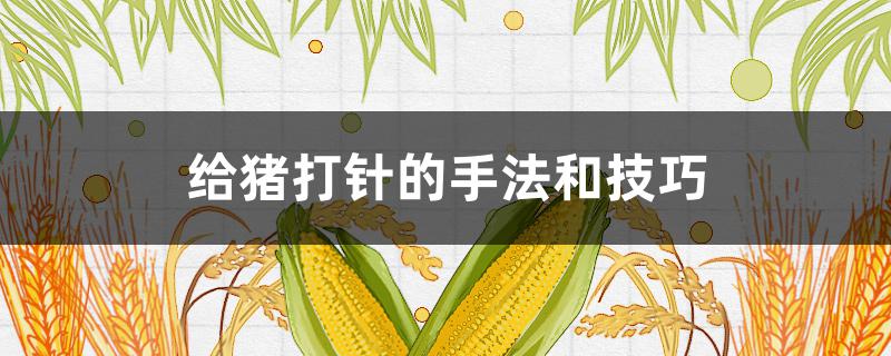 给猪打针的手法和技巧
