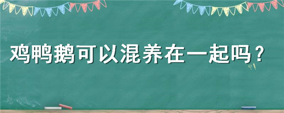 鸡鸭鹅可以混养在一起吗（鸡鸭鹅能不能一起混合养）