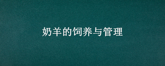 奶羊的饲养与管理 奶羊的饲养与管理视频