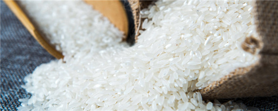 稻米出口国有哪三个（东南亚重要的稻米出口国是哪三个）