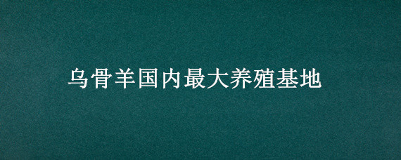 乌骨羊国内最大养殖基地 内蒙古乌骨羊国内最大养殖基地