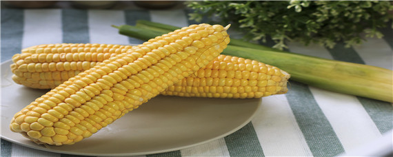 迪卡2188玉米种子积温多少（迪卡2218玉米种）