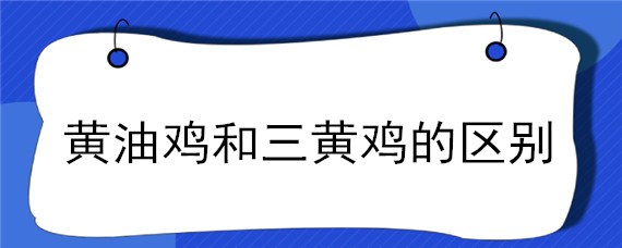 黄油鸡和三黄鸡的区别（三黄鸡和土鸡哪个好）