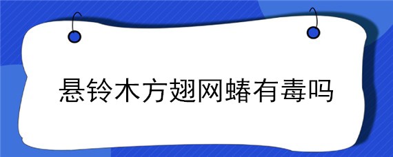 悬铃木方翅网蝽有毒吗 悬铃木方翅网蝽发生防治规律