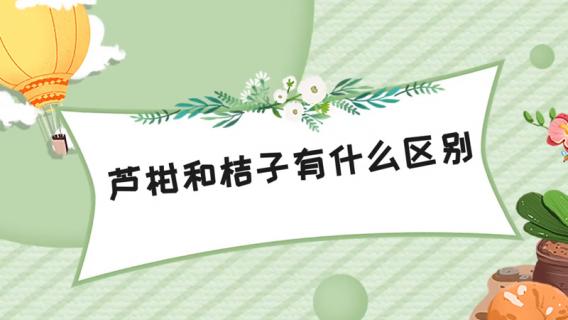 芦柑和桔子有什么区别 芦柑属于桔子类吗