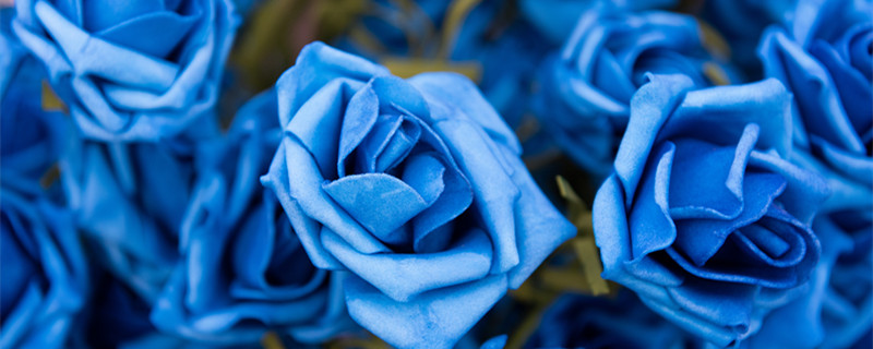 碎冰蓝玫瑰的花语是什么（碎冰蓝玫瑰花语大全）