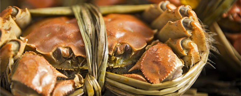 熟的螃蟹放冰箱里还能吃吗（熟的螃蟹放在冰箱里还能吃吗）