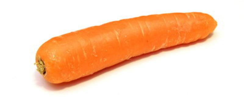 胡萝卜是长在土里的吗