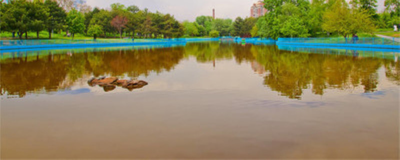 龙虾塘青苔如何清理