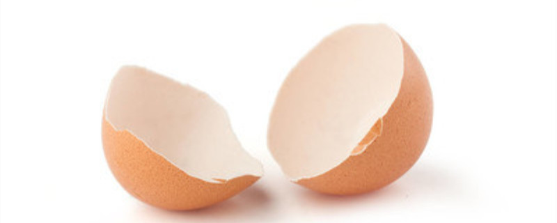 鸡蛋壳是什么肥料