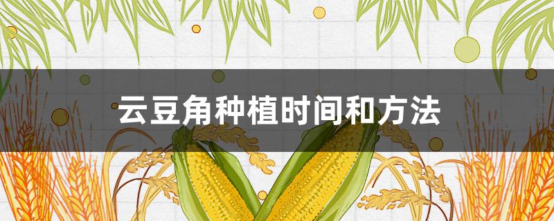 云豆角种植时间和方法