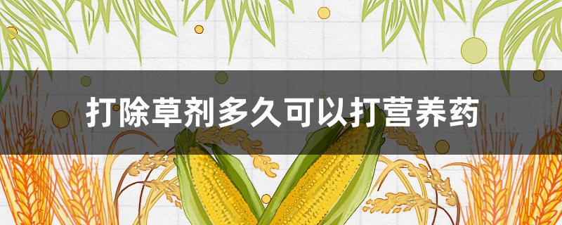 打除草剂多久可以打营养药